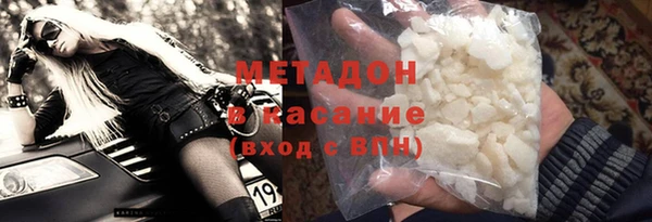 прущие грибы Абаза