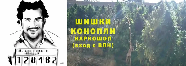 прущие грибы Абаза