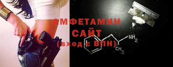 прущие грибы Абаза