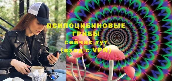 прущие грибы Абаза