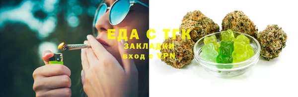 прущие грибы Абаза