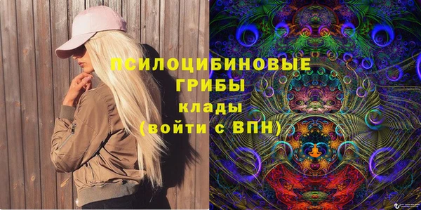 прущие грибы Абдулино