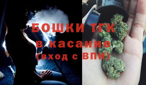 прущие грибы Абдулино