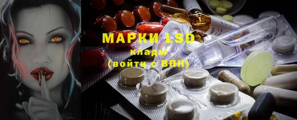 прущие грибы Абдулино