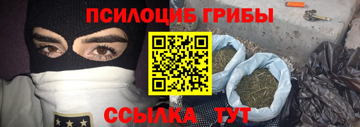 наркошоп  Вход с VPN  Чайковский  Псилоцибиновые грибы Psilocybine cubensis  Псилоцибиновые грибы Psilocybe 